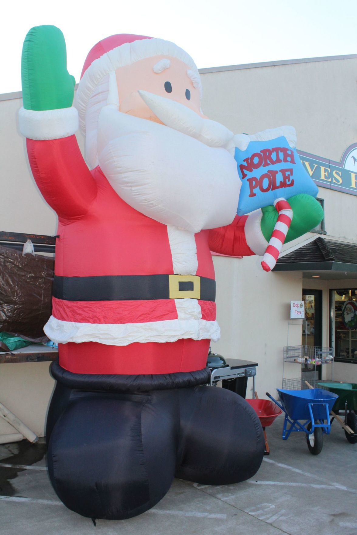 Santa